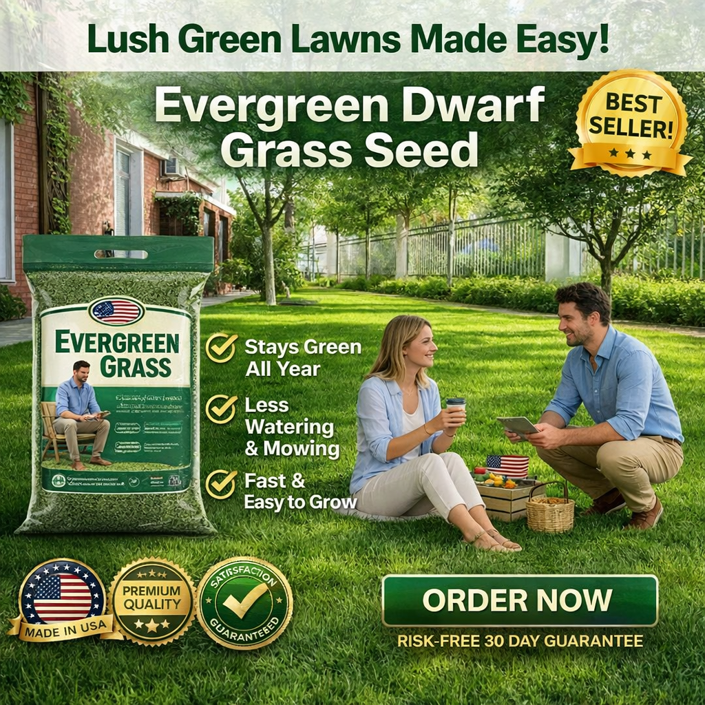 /6a1dbadc0bd586000a851382/2026/06/01/product-img-6a1dbdd791ef3d0d28f676ce.png
