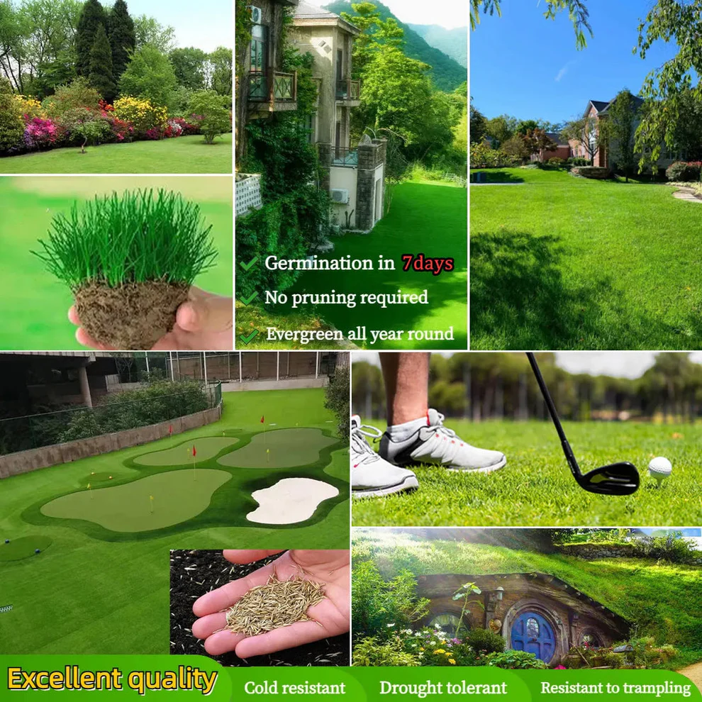 /6a1dbadc0bd586000a851382/2026/06/01/product-img-6a1dbdd891ef3d0d28f676d0.png